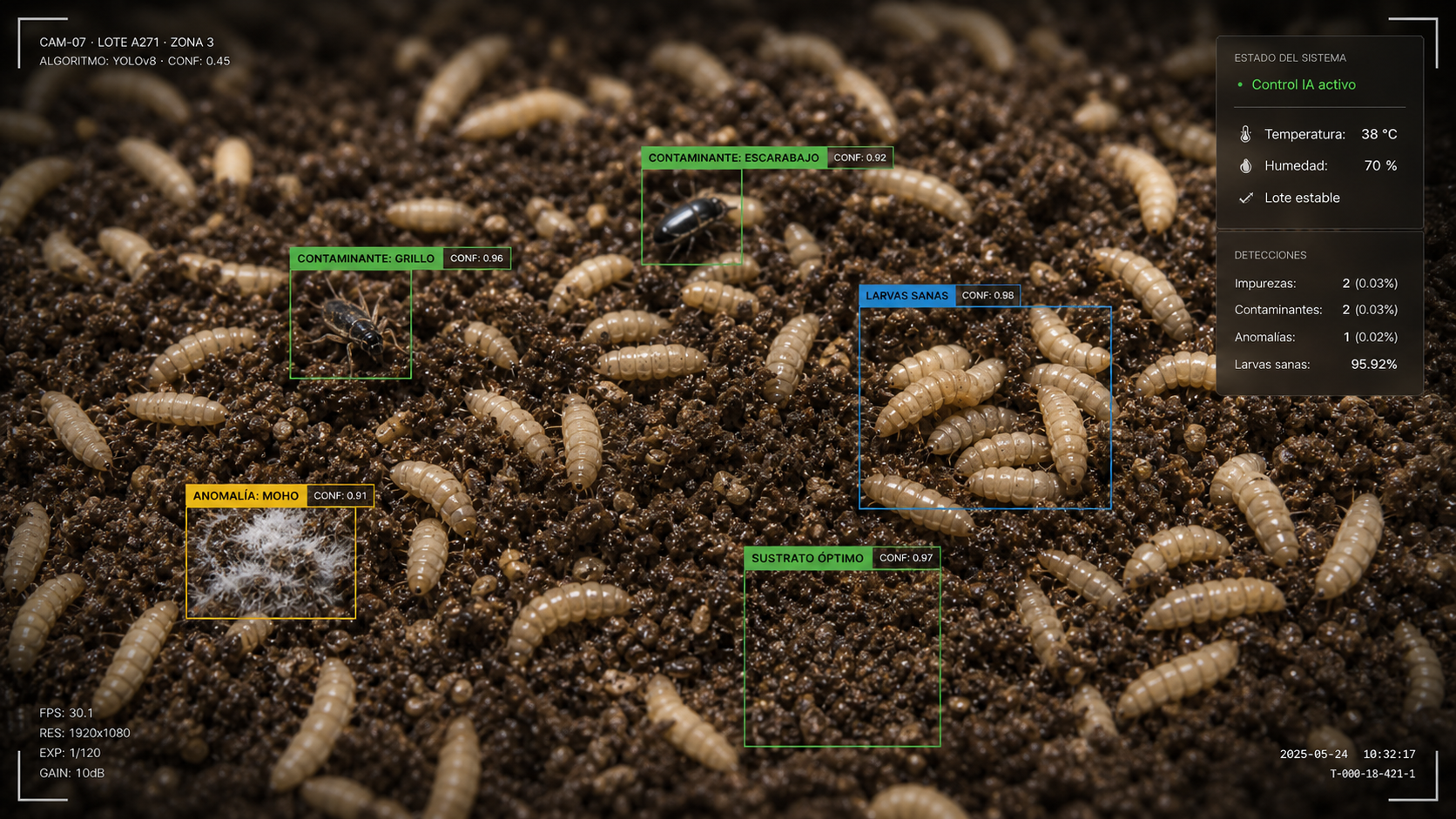 Sistema de visión AI CUCS — control de calidad BSF en tiempo real